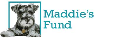 Maddie’s Fund Grant: Transforming Animal Welfare through Innovative Funding